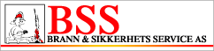 BSS_logo.gif